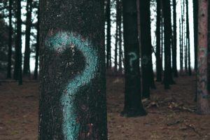 Forest of trees with question marks on the barkPhoto by <a href="https://unsplash.com/@evan__bray?utm_source=unsplash&utm_medium=referral&utm_content=creditCopyText">Evan Dennis</a> on <a href="https://unsplash.com/s/photos/Forest-of-trees-with-question-marks-on-the-bark?utm_source=unsplash&utm_medium=referral&utm_content=creditCopyText">Unsplash</a> 